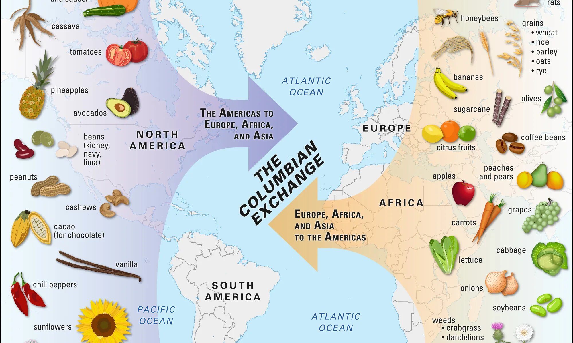 Columbian Exchange